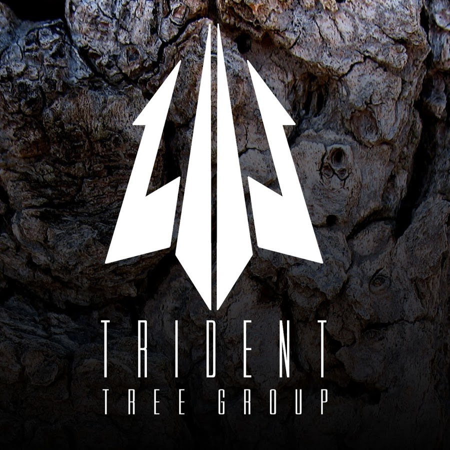 sponsor-trident-tree